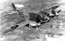 Mosquito